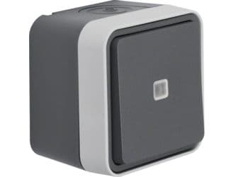 Berker 50763505, Grå, 10 styck