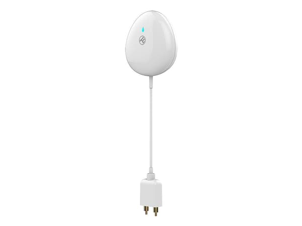 Översvämningssensor Tellur TLL331081
