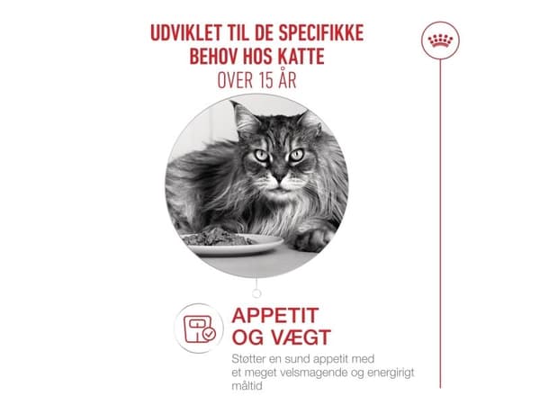 Royal Canin Ageing 15+ tørfoder til kat - 400 g