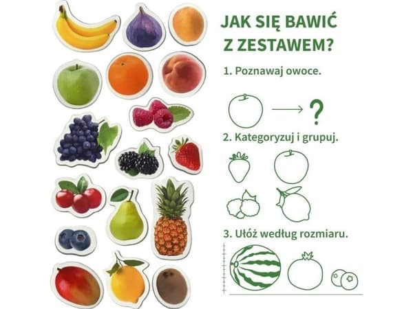 Magneter Fruits MV 6032-11