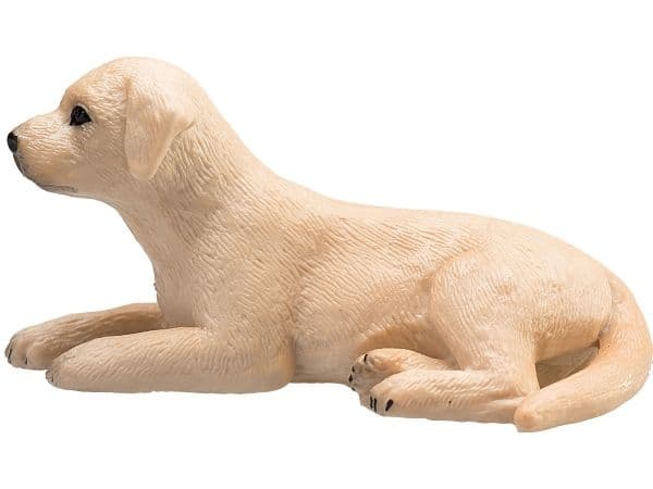 Mojo Labrador hundehvalp
