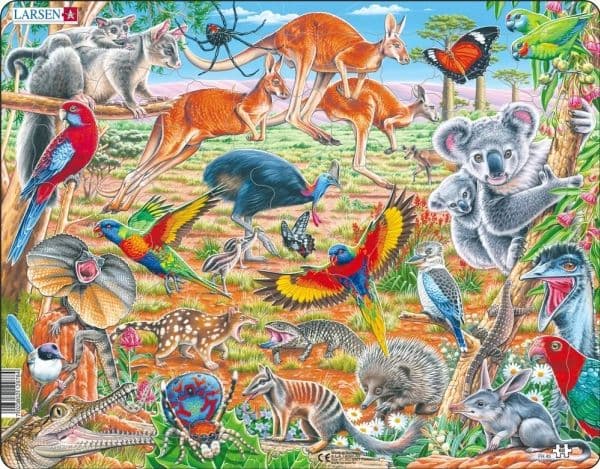 Palapeli: Australian eläimet – 60 palaa, Maxi (36,5 x 28,5 cm)