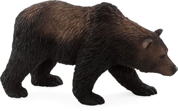 Mojo Grizzly Bear