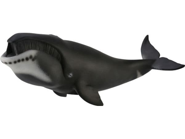 GRØNLANDSHVAL (XL)