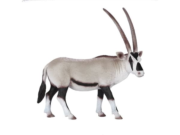 Mojo Oryx Antilope