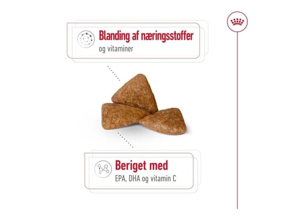 Royal Canin X-Small Ageing 12+ torrfoder för hund – 1,5 kg