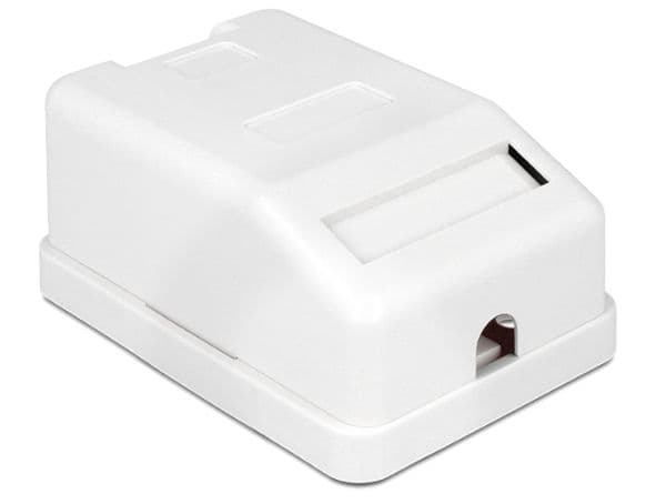 Delock Keystone Surface Mounted Box - Chassi med modulär insättning - vit - 1 port