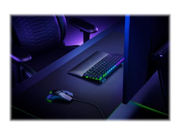 Razer Standard Edition - Håndleddsstøtte - mini