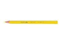 BIC KiDS ecolutions EVOLUTION - Fargeblyant (en pakke 12)