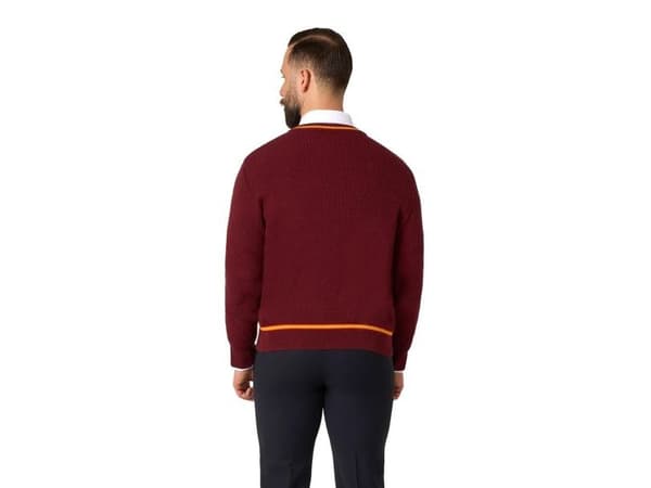 Gryffindor sweater