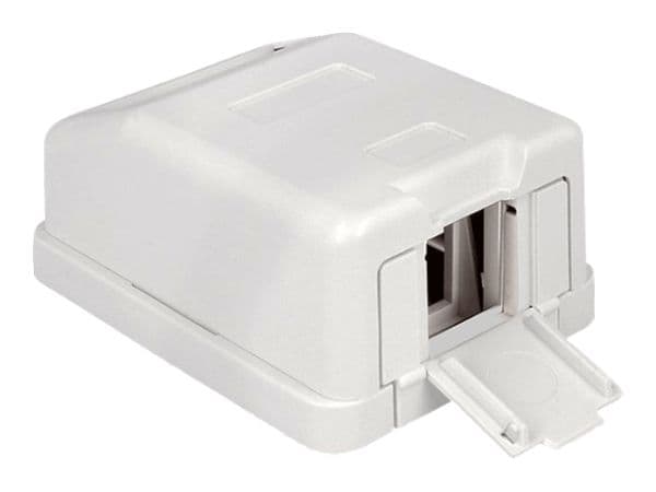 Delock Keystone Surface Mounted Box - Chassi med modulär insättning - vit - 1 port