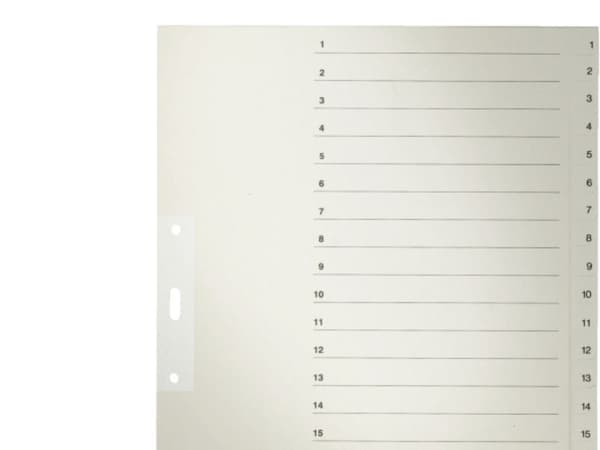 Leitz Register Blanc, 240 mm, 300 mm, 1 styck