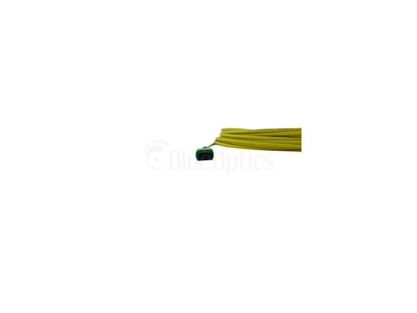 BlueOptics SFP5252BU2MMB, 2 m, MPO, MPO