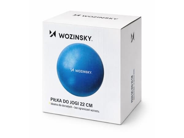 Wozinsky WPDP-N22 rehabilitation exercise ball 22cm - blue