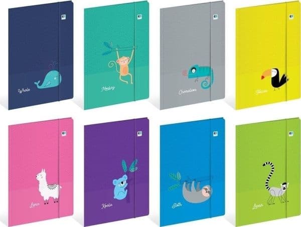 Folder with elastic A4 + BB Kids Tropic (10 pcs)