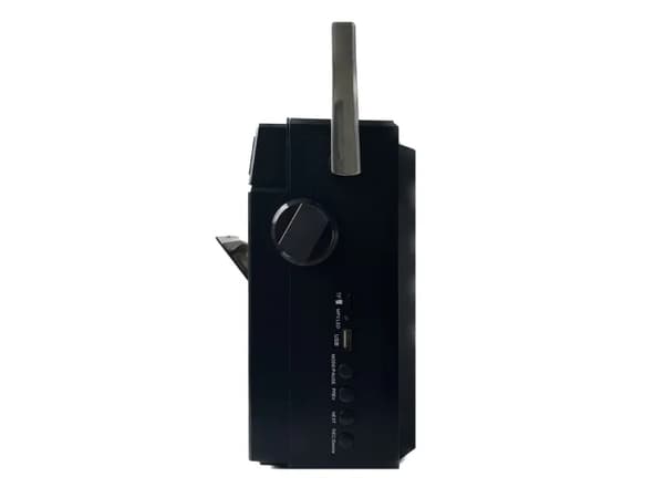 PCR 1980 BT