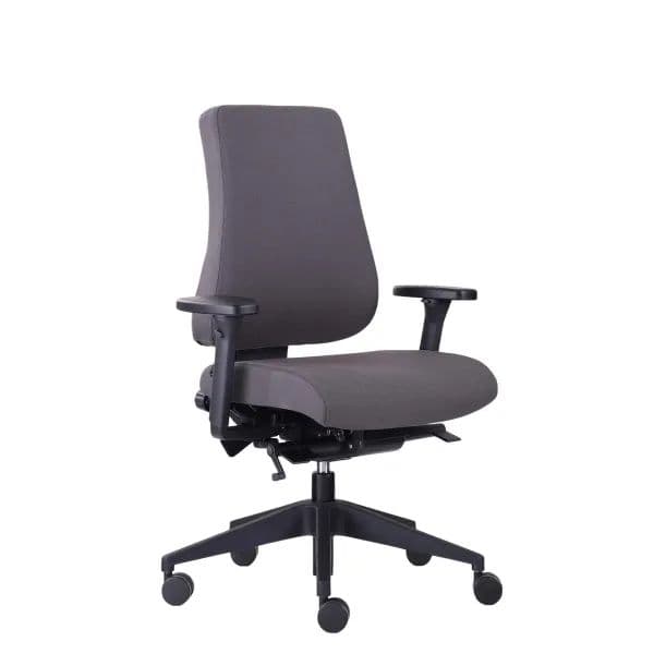 Canadian Ergo CE 02 kontorstol mørkegrå