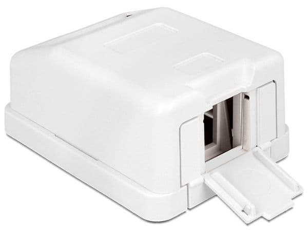Delock Keystone Surface Mounted Box - Chassi med modulär insättning - vit - 1 port