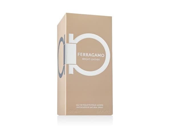 Ferragamo Bright Leather Eau De Toilette 100 ml (herr)