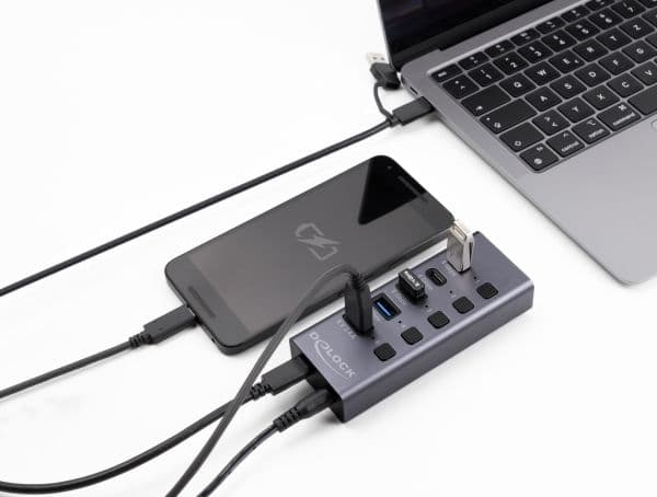 Delock - Hub - 5 Gbps, 1 fast charging port, + switch - 3 x USB + 2 x USB-C - stasjonær