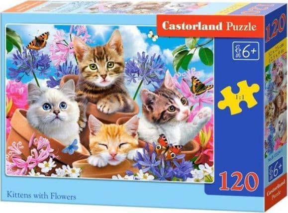 CASTOR 120PCS Kittens wi th flowers