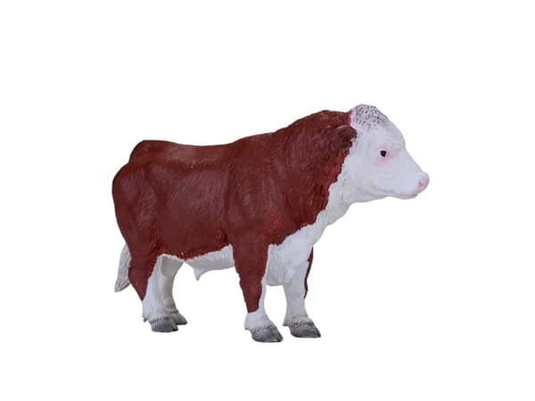 Mojo Hereford tjur