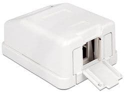Delock Keystone Surface Mounted Box - Modulært innføringshus - hvit - 1 port