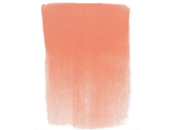 PanPastel 310.6 Vermilion Medium