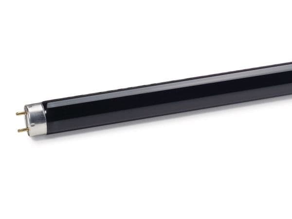 Philips 8711500950987, 6 W, T5, Sort