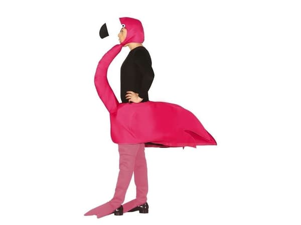 Flamingo puvussa