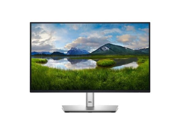 P Series P2225H dator