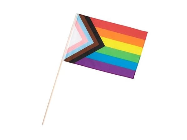 LGBTQ+-lippu kepissä
