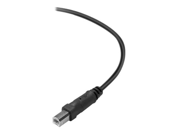 Belkin Premium Printer Cable - USB-kabel - USB typ B (hane) till USB (hane) - USB 2.0 - 3 m - formpressad