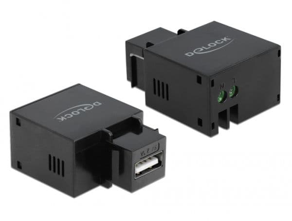 Delock - Modulär insättning - USB-laddning - svart