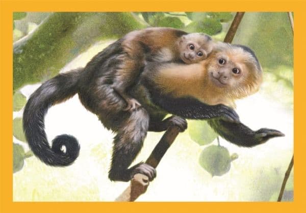 Clementoni 21532, 3 år