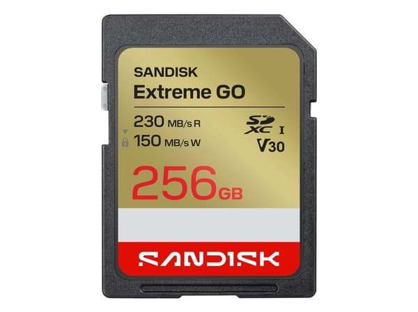 SANDISK SD Extreme GO 256GB