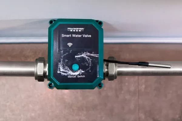 FrankEver Smart water valve DN20, ¾