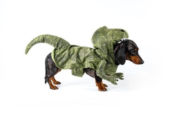 Dogman maskeradekostyme Dino M