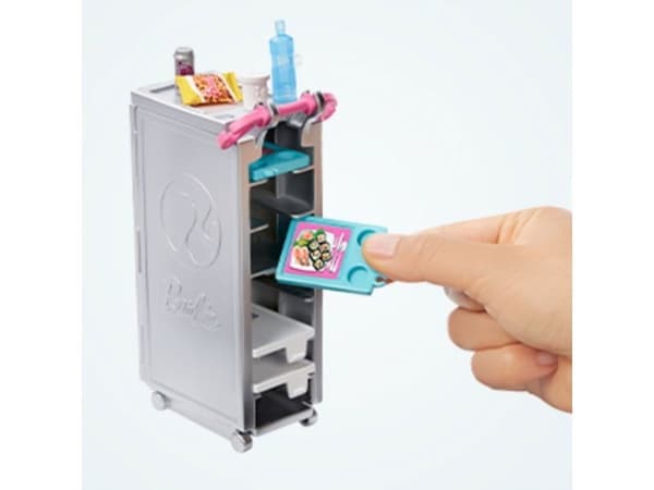 Barbie Dreamplane and Doll Playset