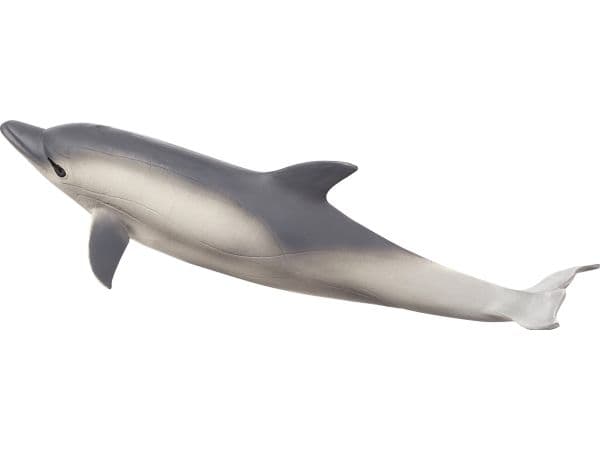 Mojo Delfin