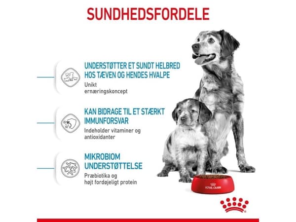 Royal Canin Medium Starter torrfoder för hundar och valpar – 15 kg