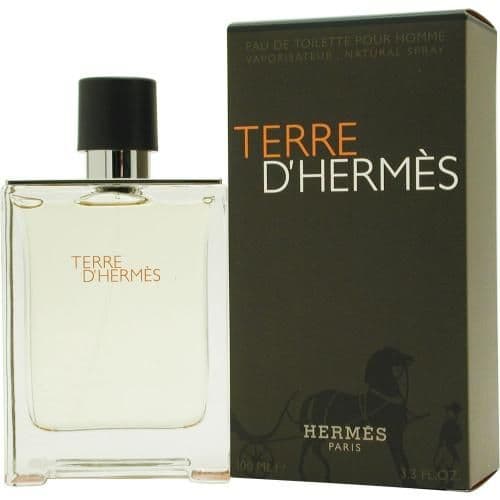 Hermes Terre D'Hermes Edt Spray - Man - 100 ml