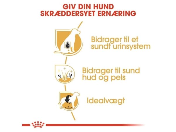 Royal Canin Bichon Frisé Adult tørfoder til hund - 1.5 kg