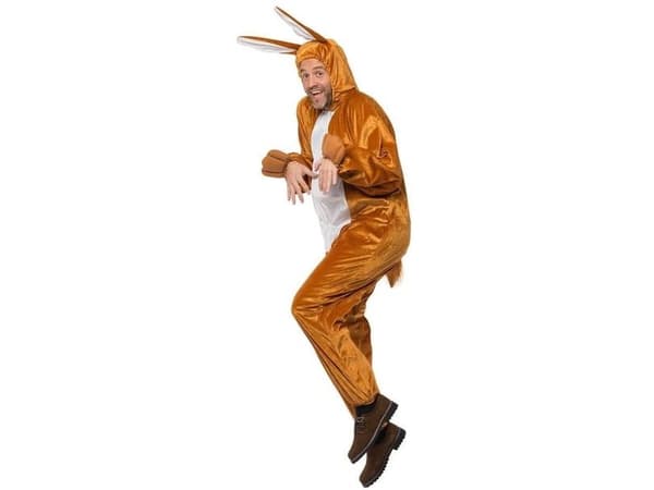 Kanin kostume