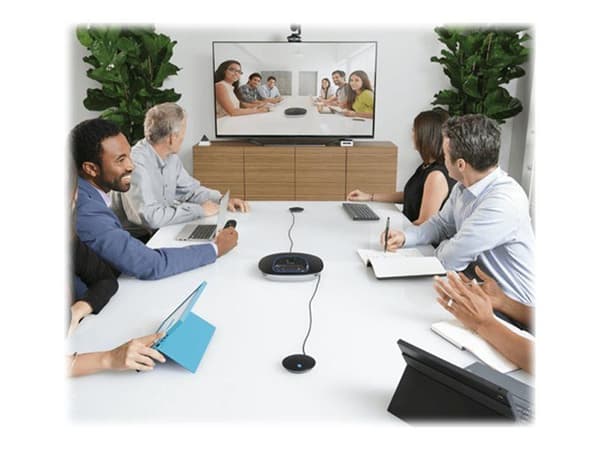 Logitech GROUP Expansion Microphones Only - Mikrofonsats