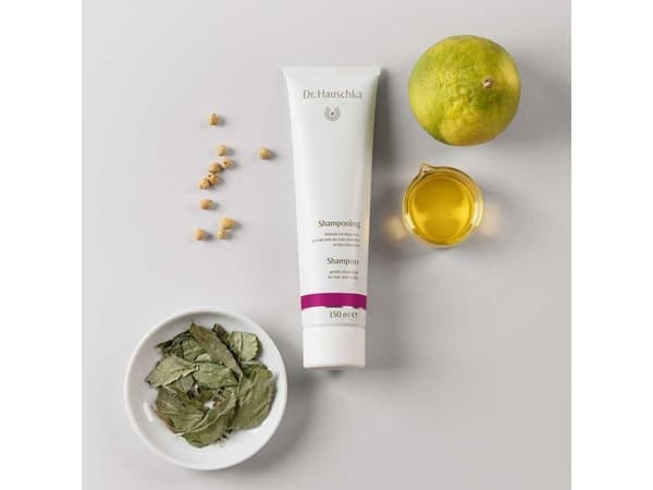 Dr. Hauschka Shampoo