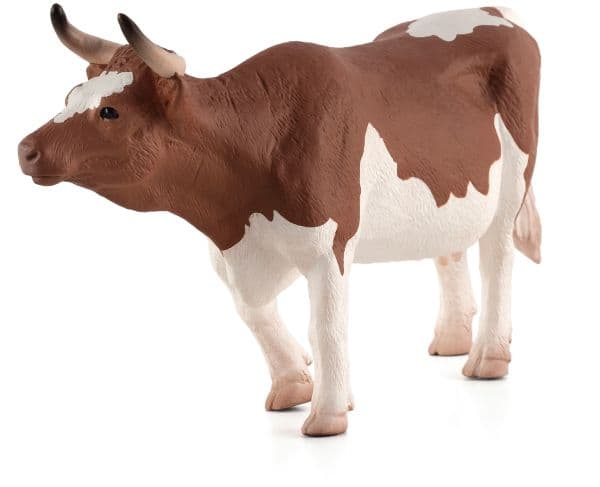 Mojo Simmental Cow