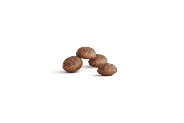 Royal Canin Ageing 11+ Sterilised tørfoder til kat - 2 kg