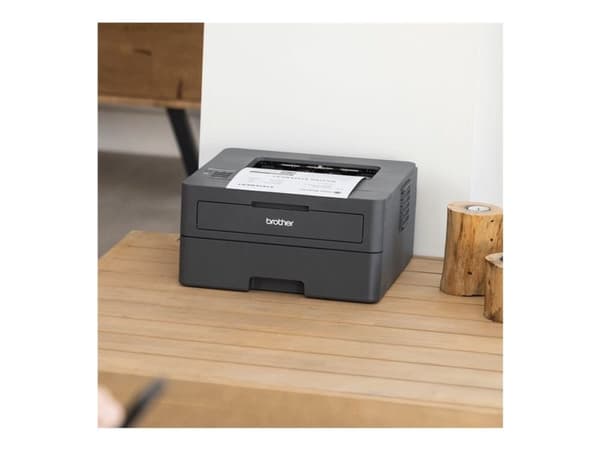 Brother HL-L2400DW Mono laser printer