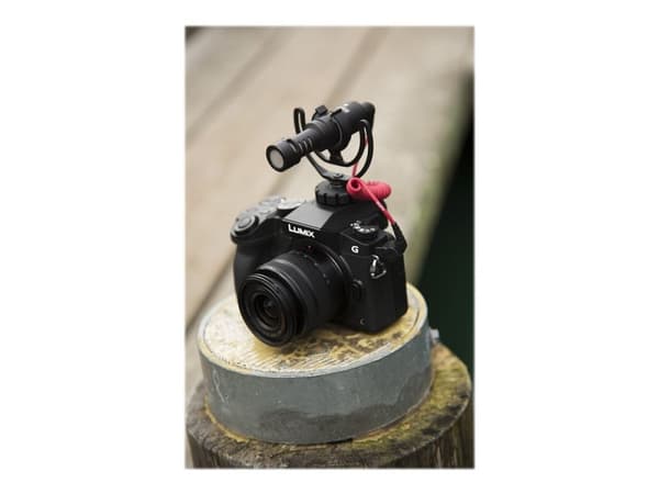 VideoMicro